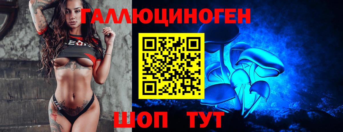 Псилоцибиновые грибы Psilocybe Кировск